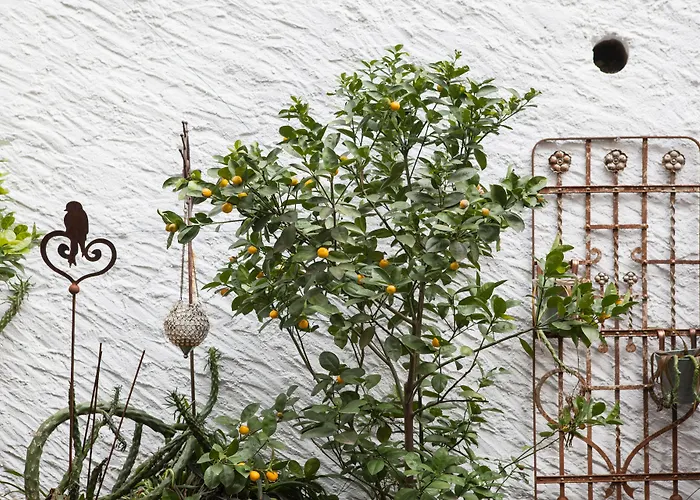 Caffe Dell'arte Boutique 로카르노