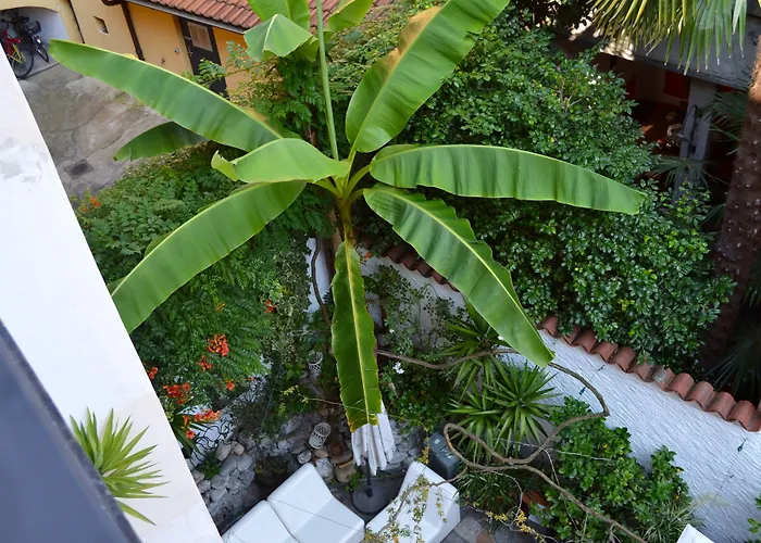 Caffè Dell'arte Boutique Locarno